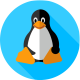 linux_final